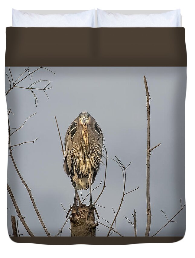 Gbh Duvet Cover featuring the photograph Watching by Jerry Cahill