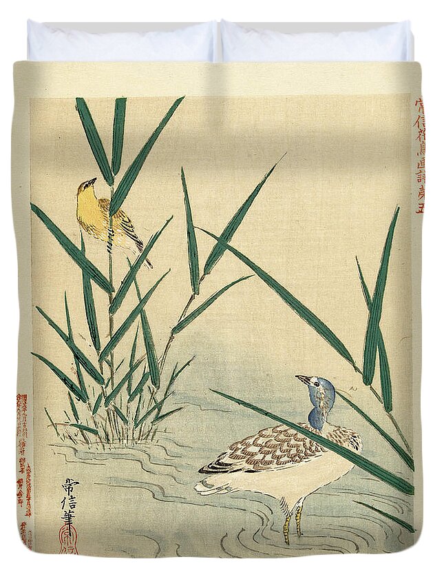 Kano Tsunenobu Duvet Cover featuring the drawing Water bird looking at yellow songbird by Kano Tsunenobu