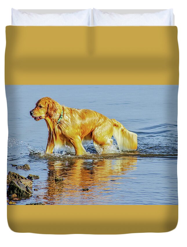 Dog Duvet Cover featuring the photograph Water Dog by Addison Likins