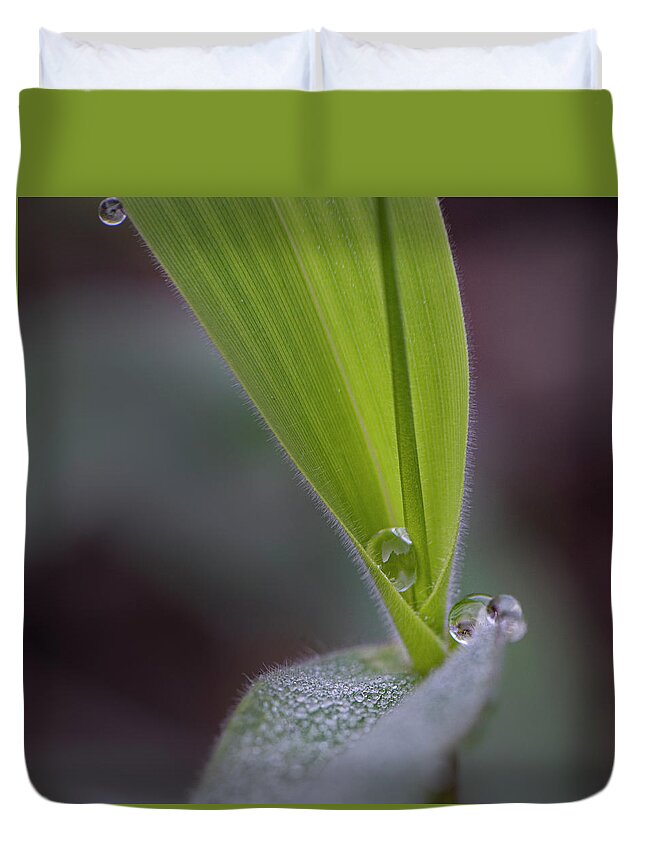 Water Duvet Cover featuring the photograph Water Drop On Grass by Karen Rispin