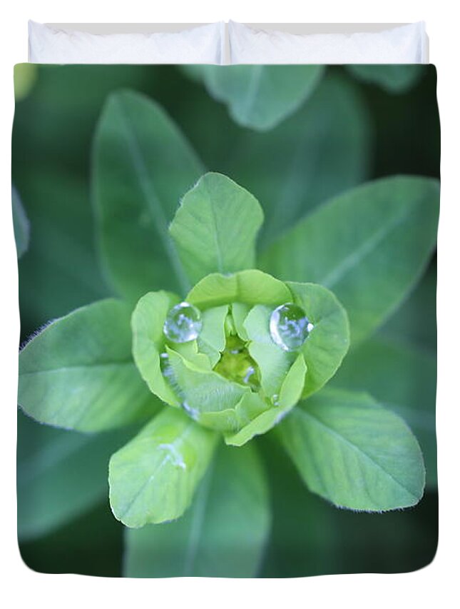 Water Drops Duvet Cover featuring the photograph Spurge Water Droplet Face by Tammy Pool