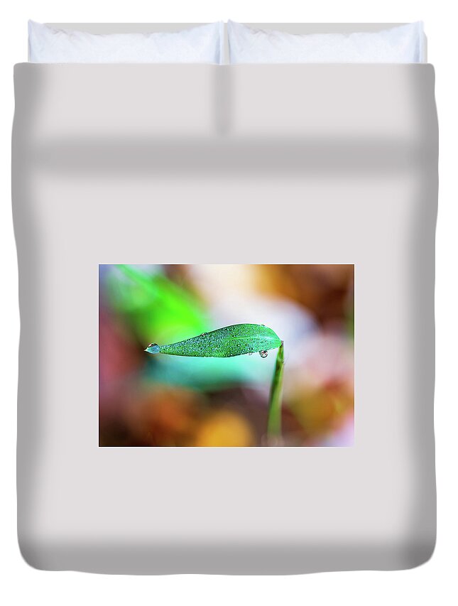 Water Drops Duvet Cover featuring the photograph Water Drops on Leaf by Amelia Pearn