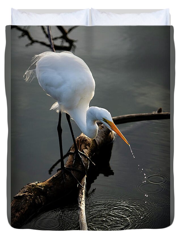  Duvet Cover featuring the photograph Water is Life by Quinn Sedam