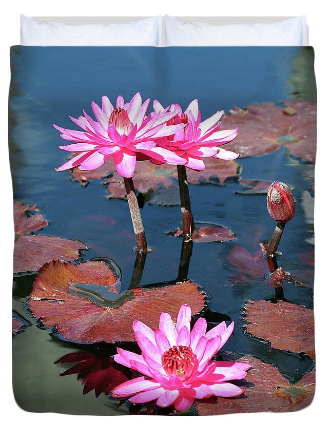 Water Lilies Duvet Cover featuring the photograph Water Lilies at Naples 4 by David T Wilkinson
