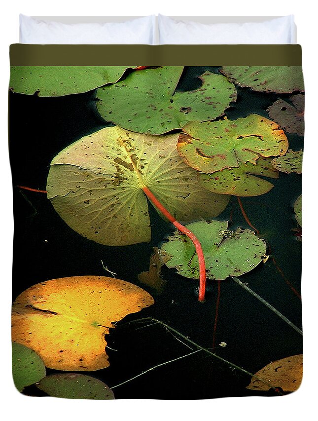 Water Duvet Cover featuring the photograph Water Lilies No 2 Vertical by Wayne King