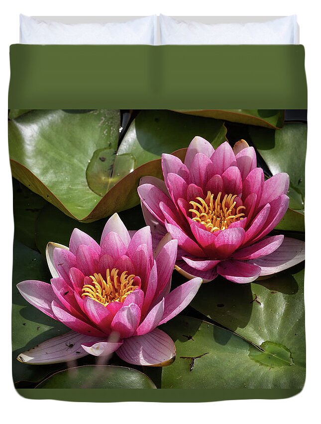 Water Lily Duvet Cover featuring the photograph Water Lily In Bloom by Artur Bogacki