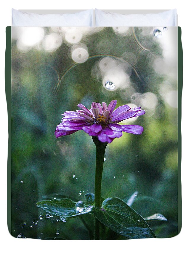 Waterdrops Duvet Cover featuring the photograph Waterdrops and a Pink Common Zinnia by W Craig Photography