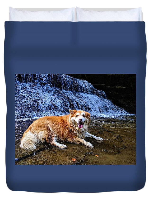  Duvet Cover featuring the photograph Waterfall Doggy by Brad Nellis