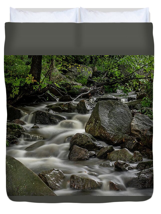 Waterfall Duvet Cover featuring the photograph Waterfall in the WOods by Regina Muscarella