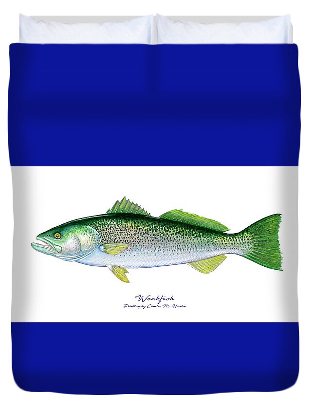 Charles Harden Duvet Cover featuring the painting Weakfish by Charles Harden