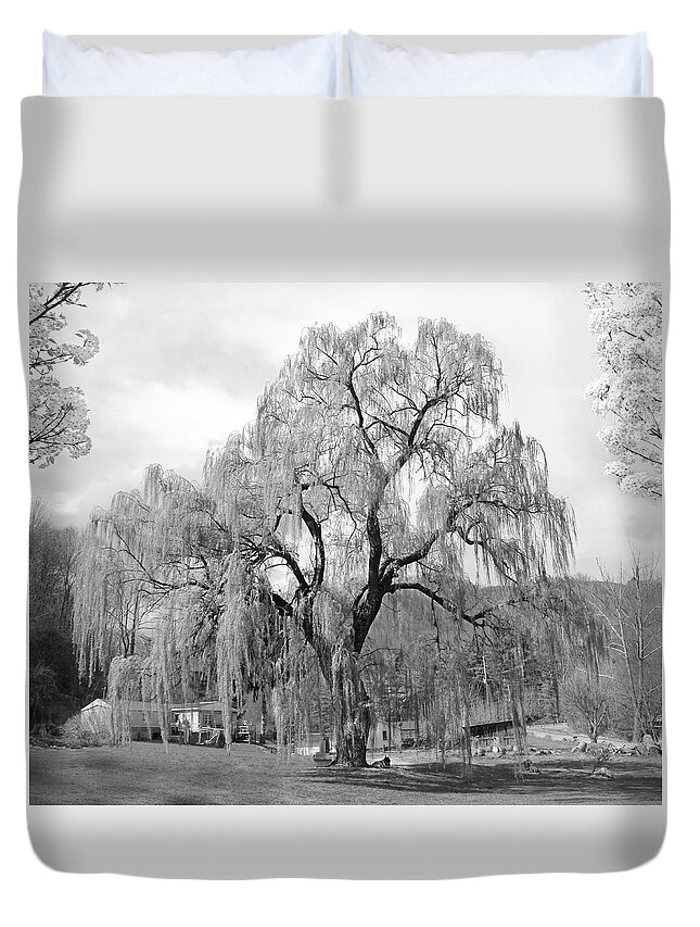 Willow Tree Duvet Cover featuring the photograph Weeping Willow by Mike McGlothlen