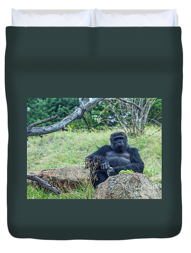 Western Lowland Gorilla Duvet Cover featuring the photograph Western Lowland Gorilla by Shirley Dutchkowski