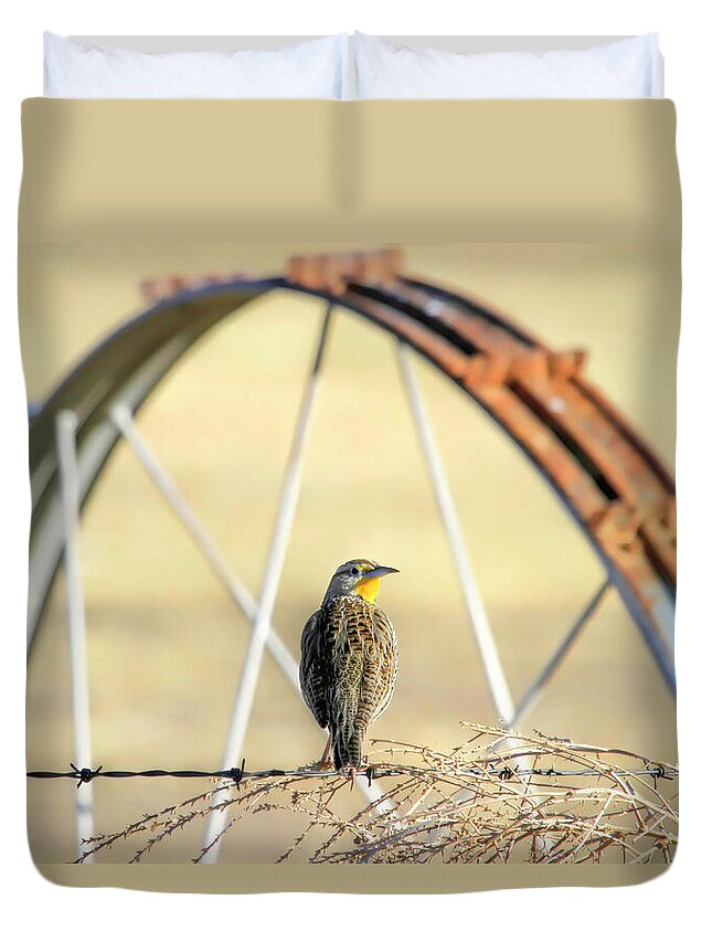 Western Meadowlark Duvet Cover featuring the photograph Western Meadowlark by Donna Kennedy