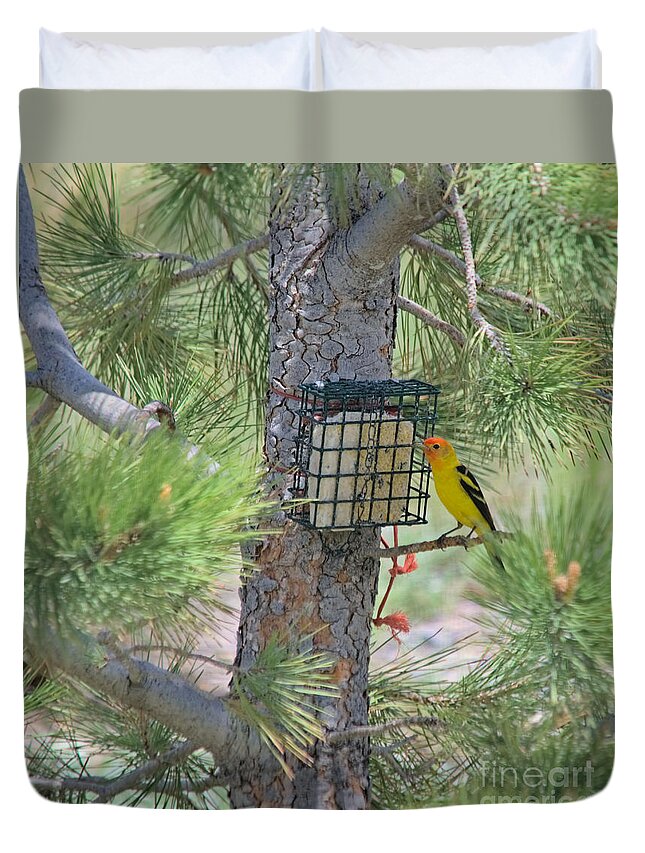 Tanager Duvet Cover featuring the photograph Western Tanager Feeding by Kae Cheatham