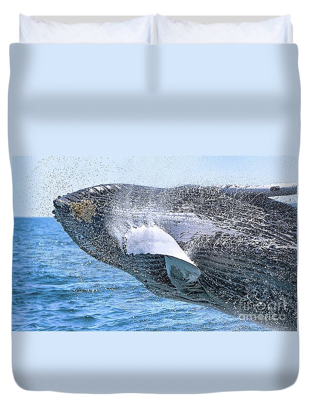 New England Duvet Cover featuring the photograph Whale Ahoy - Breaching Humpback by Rehna George