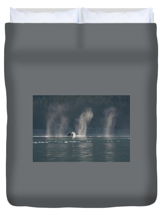 Whale Duvet Cover featuring the photograph Whale Tail in the Sun by David Kirby