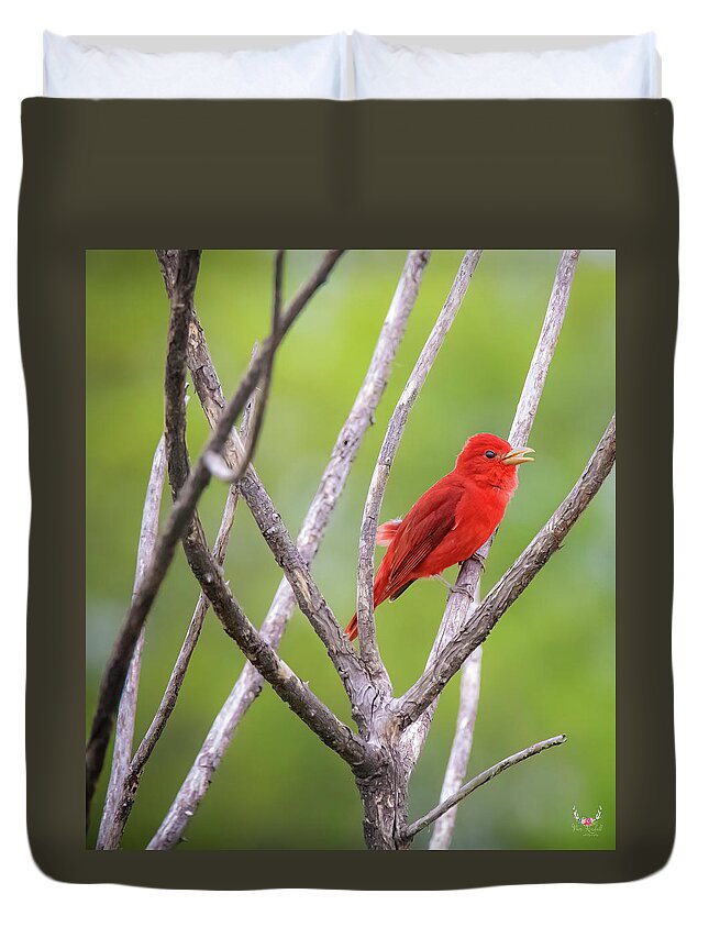 Red Duvet Cover featuring the photograph What a Red by Pam Rendall