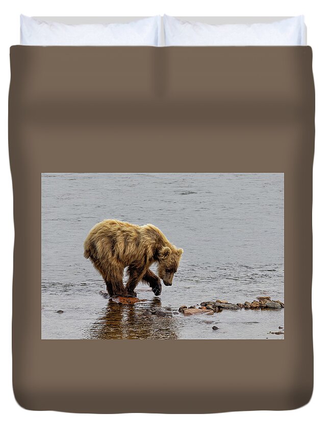 Alaska Duvet Cover featuring the photograph What Do You See by Cheryl Strahl
