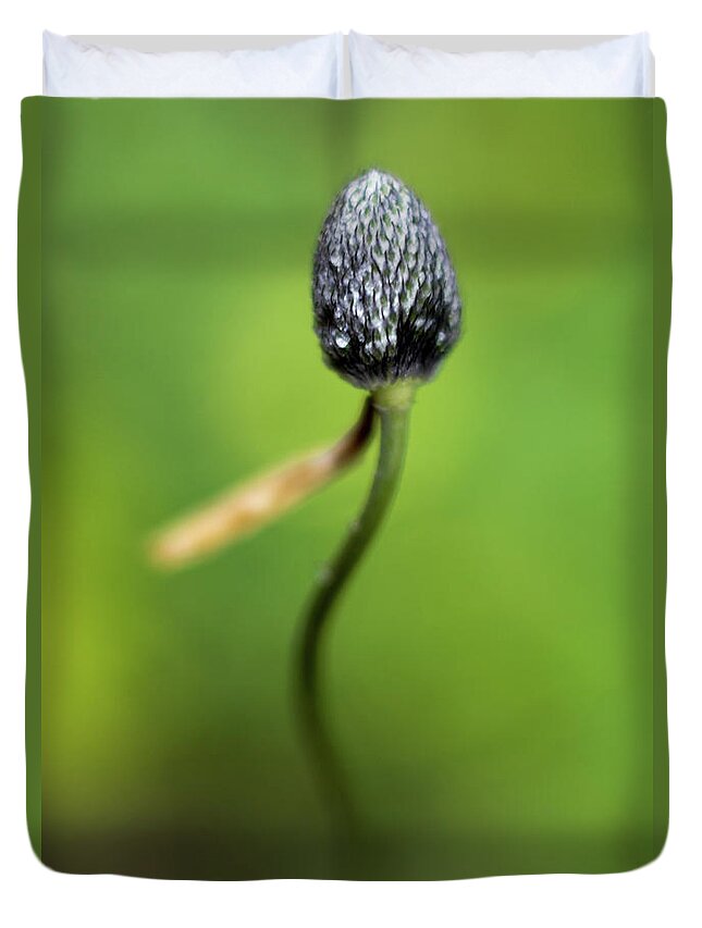 Green Duvet Cover featuring the photograph What Its Left To Admire.. by Stelios Kleanthous
