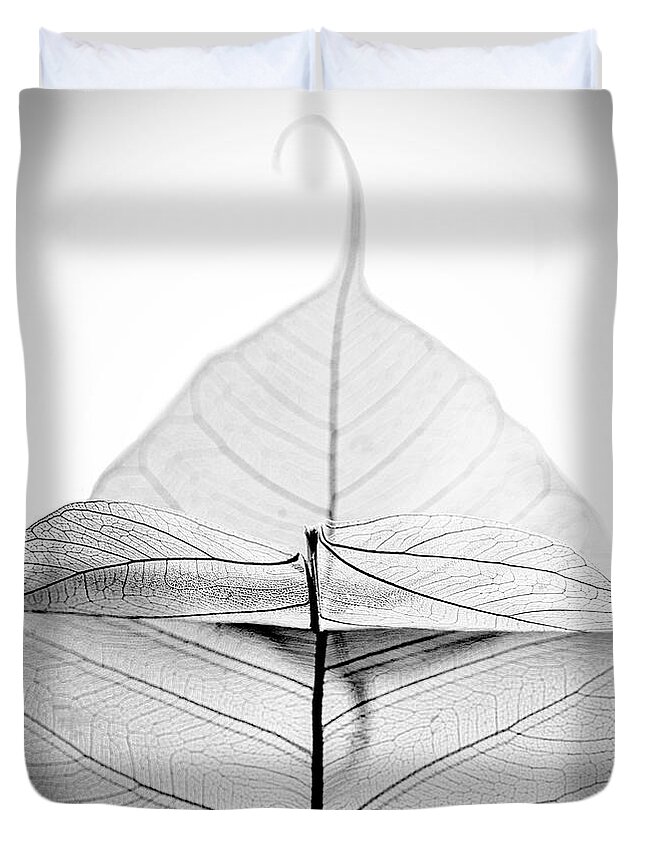 Still Life Duvet Cover featuring the photograph What Lies Beneath by Maggie Terlecki