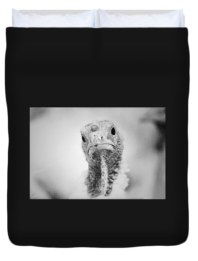Turkey Duvet Cover featuring the photograph What're you lookin' at? by Robert Dann