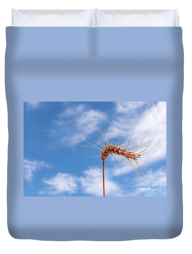 Wheat Duvet Cover featuring the photograph Wheat by Daniel M Walsh