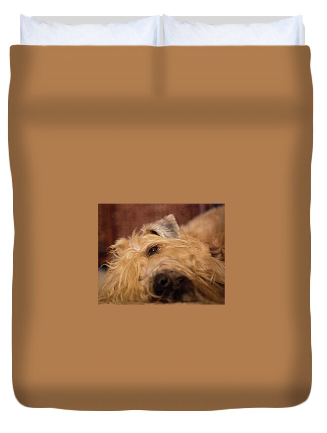 Wheaten Duvet Cover featuring the photograph Wheaten Face Mask 3 by Rebecca Cozart