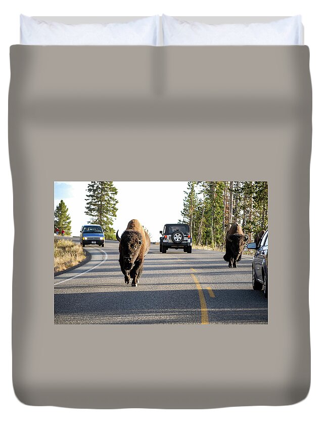 Buffalo Duvet Cover featuring the photograph Where The Buffalo Roam - Bison, Yellowstone National Park, Wyoming by Earth And Spirit