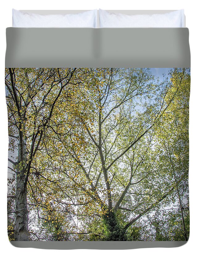 Whetstone Stray Duvet Cover featuring the photograph Whetstone Stray Trees Fall 8 by Edmund Peston