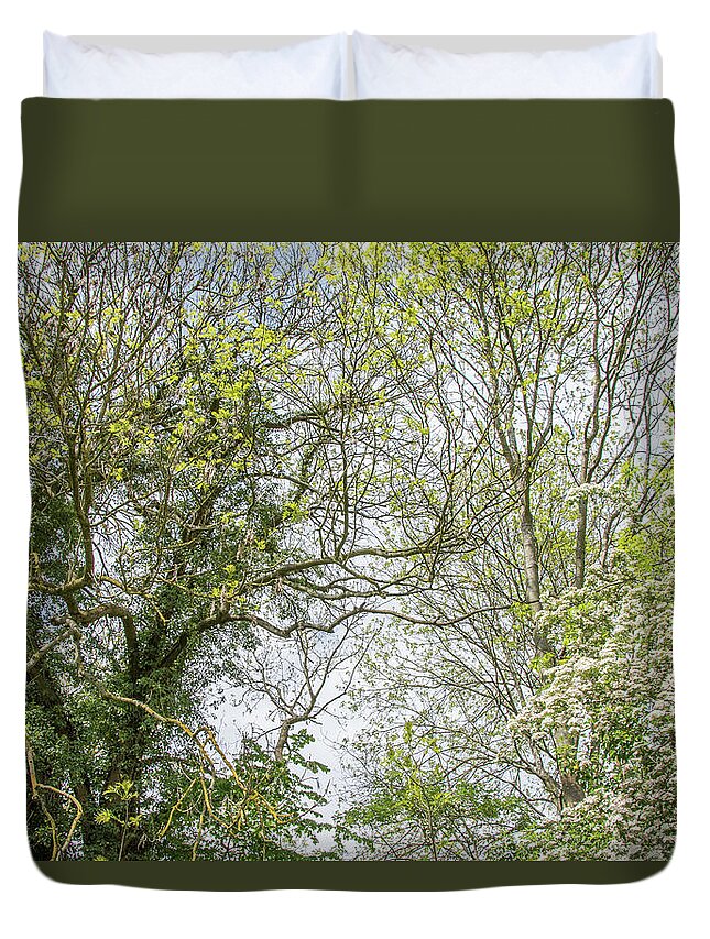Whetstone Stray Duvet Cover featuring the photograph Whetstone Stray Trees Spring 2 by Edmund Peston