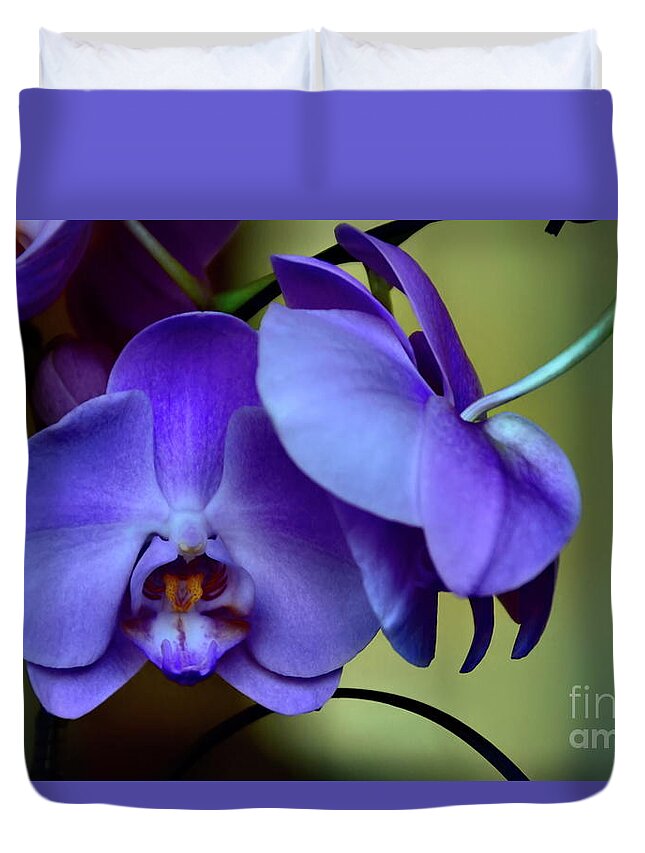 Orchids Duvet Cover featuring the photograph Whispers by Diana Mary Sharpton