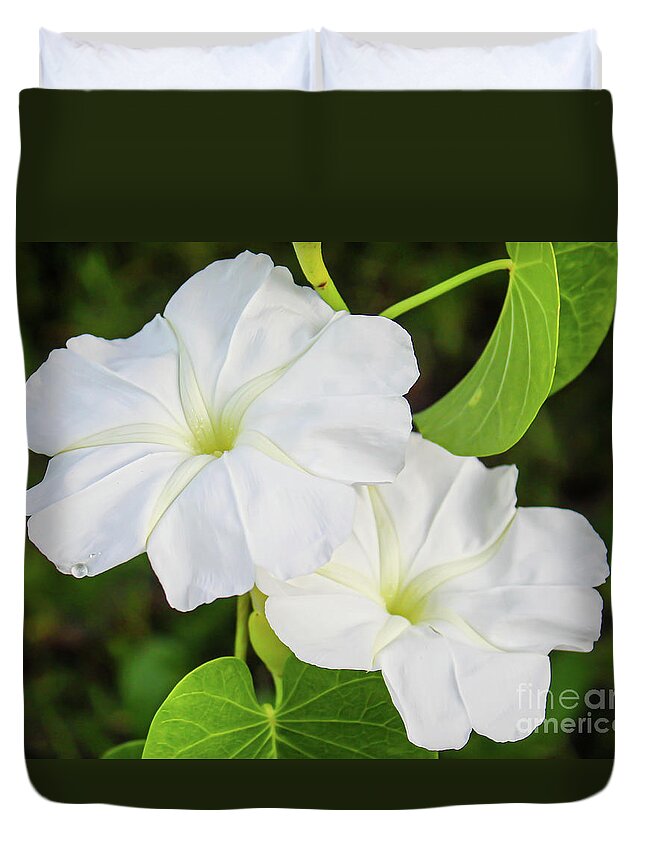 Moonflowers Duvet Cover featuring the photograph White blooms for the moon by Joanne Carey