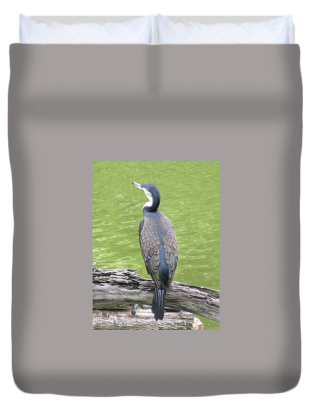 Cormorant Duvet Cover featuring the photograph White-breasted Great Cormorant by Heather E Harman