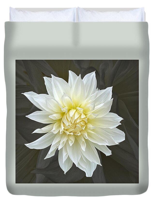 Dahlia Duvet Cover featuring the photograph White Cactus Dahlia by Jerry Abbott