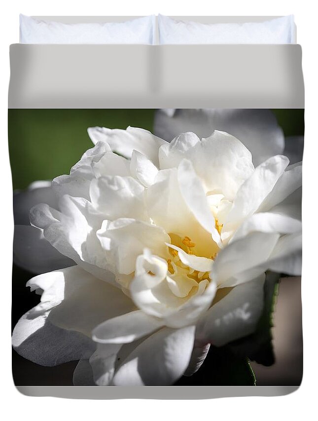 Camellia Duvet Cover featuring the photograph White Camellia III by Mingming Jiang