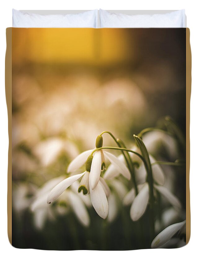Europe Duvet Cover featuring the photograph White common snowdrop - prank of nature by Vaclav Sonnek
