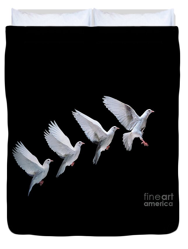 Columba Livia Duvet Cover featuring the photograph White dove in flight multiple exposure 4 on black by Warren Photographic