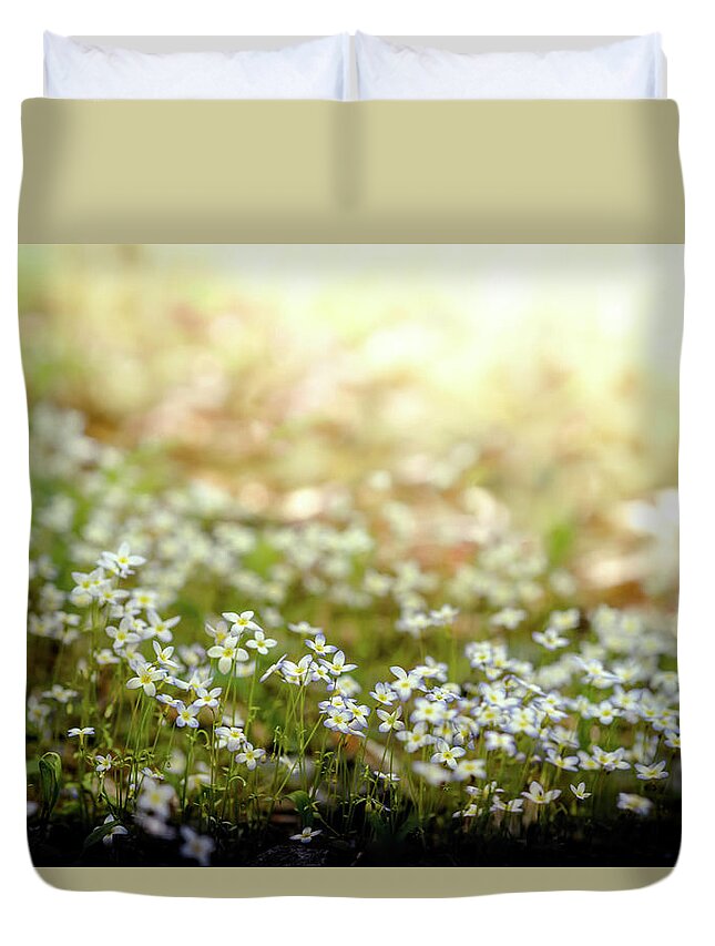 White Little Flowers Duvet Cover featuring the photograph White little flowers by Lilia S