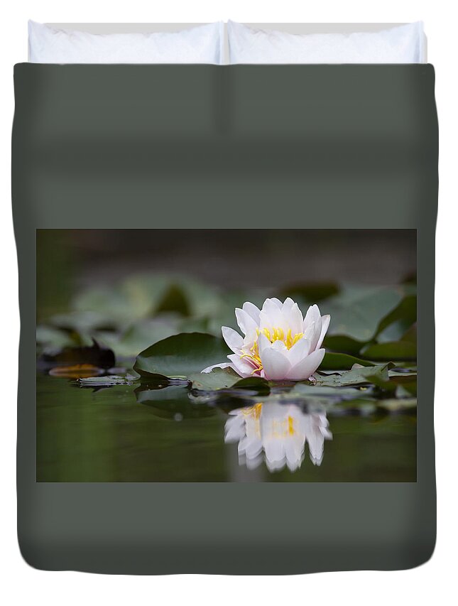Blossom Duvet Cover featuring the photograph White lotus waterlily lily flower in a pond by Elenarts - Elena Duvernay photo