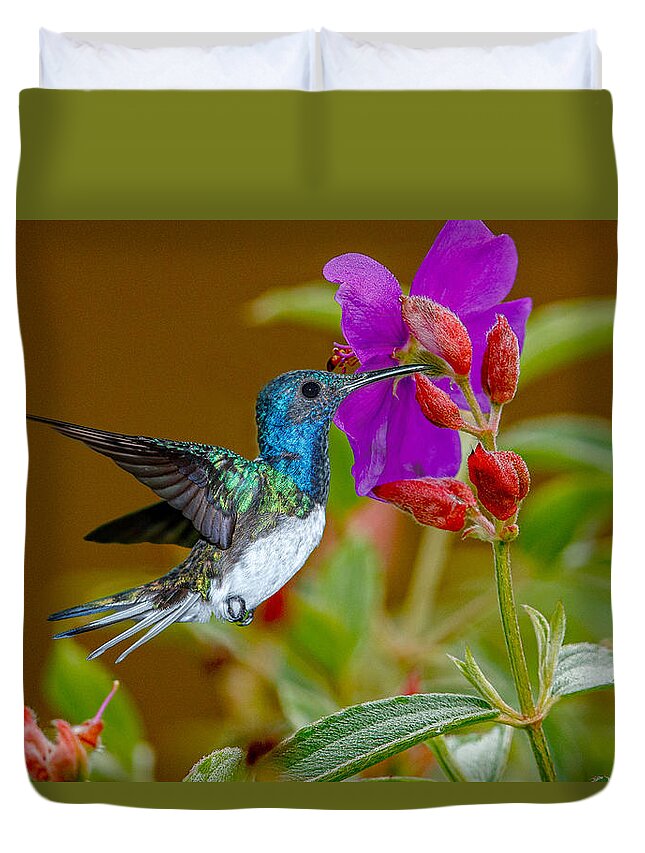Hummingbird Duvet Cover featuring the photograph White necked Jacobin Hummingbird by Judy Rogero