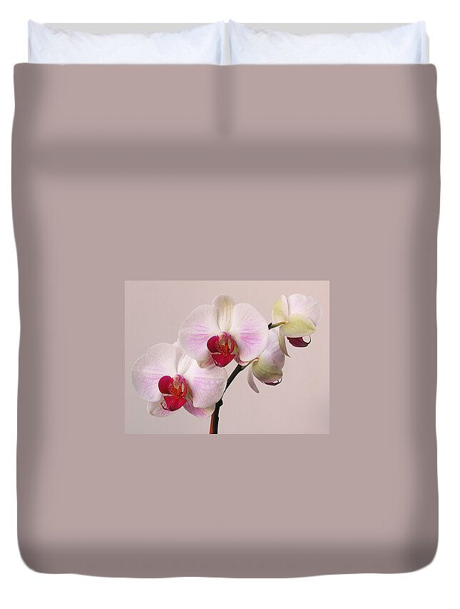 Orchid Duvet Cover featuring the photograph White Orchid by Juergen Roth