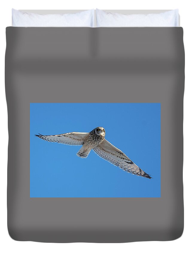 Owl Duvet Cover featuring the photograph White Owl Flying by William Jobes