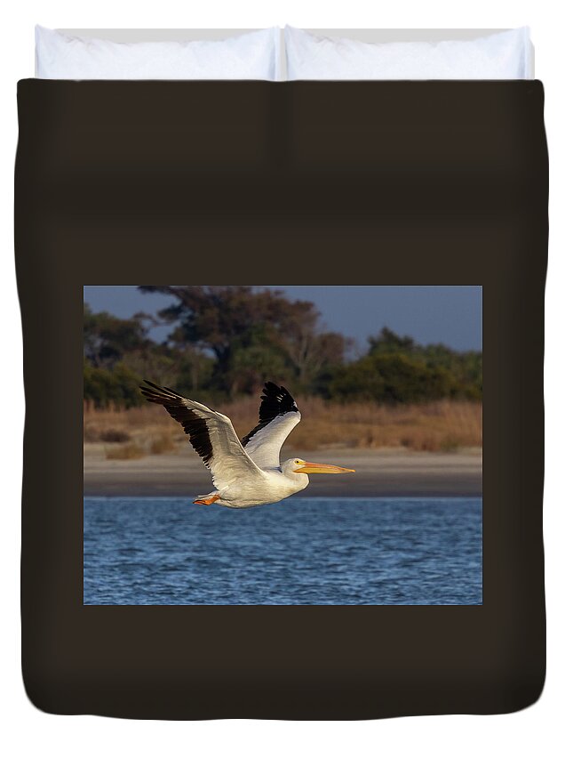 American White Pelican Duvet Cover featuring the photograph White Pelican in Flight by Patricia Schaefer