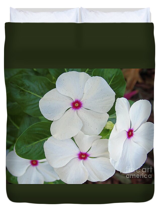 Periwinkle Duvet Cover featuring the photograph White Periwinkles by D Hackett