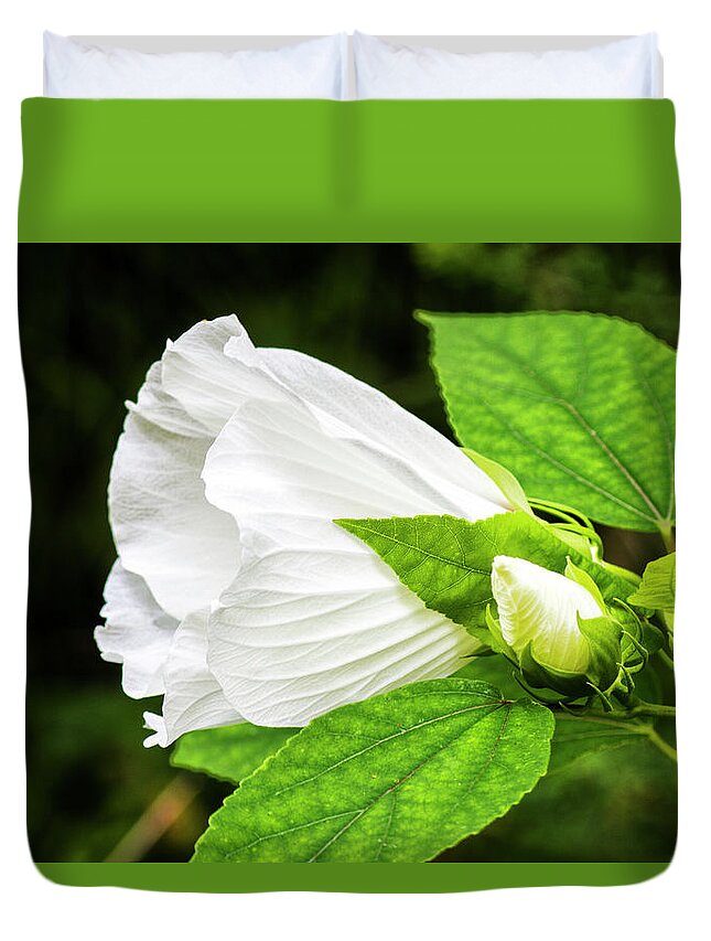 White Hibiscus Flower Duvet Cover featuring the photograph White Hibiscus Bloom and Bud in the Croatan National Forest by Bob Decker