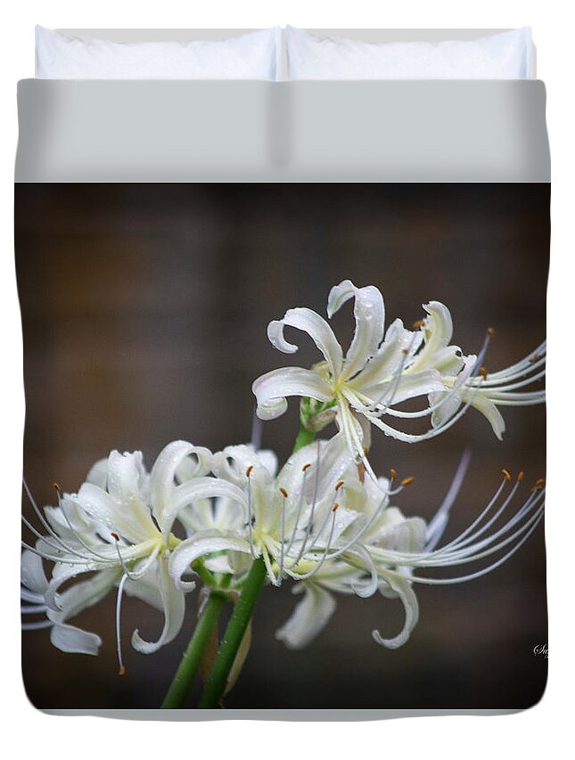 Photograph Duvet Cover featuring the photograph White Spider Lilies by Suzanne Gaff