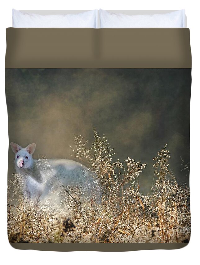 White Wallaby Duvet Cover featuring the photograph White Wallaby by Eva Lechner