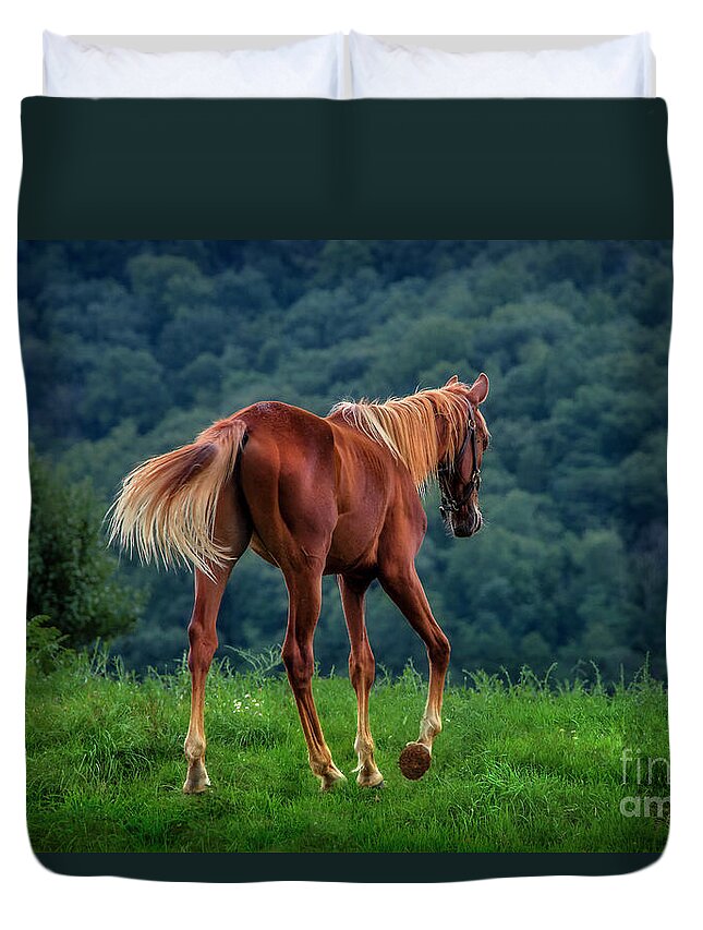 Horse Duvet Cover featuring the photograph Whoa, horsey... by Shelia Hunt