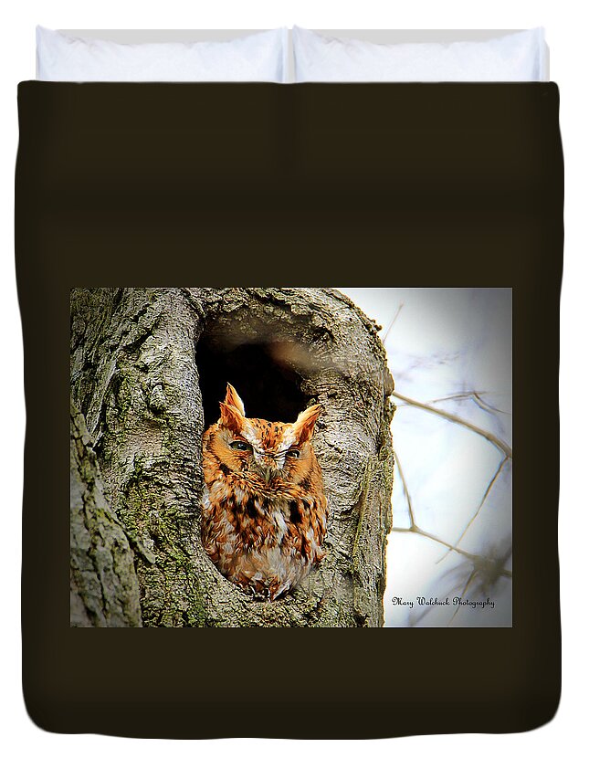 Eastern Screech Owl Red Morph Duvet Cover featuring the photograph Whooo are You by Mary Walchuck