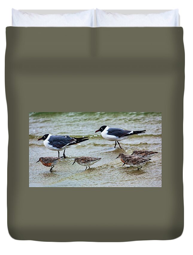 North Carolina Duvet Cover featuring the photograph Why Cant We All Just Get Along by Dan Carmichael